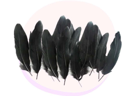Craft Black Feathers 50 Pack - 14cm