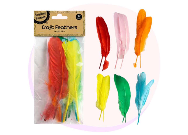 Craft Feathers Assorted Colours 12 Pack - 19cm