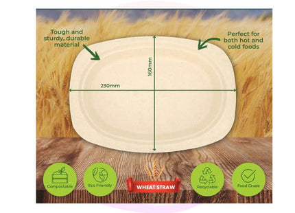 Eco- Friendly Wheat Straw Oblong Rectangle Plates 23x16cm 30 Pack