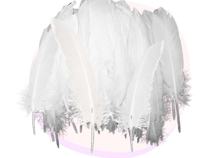 Craft White Feathers 50 Pack - 14cm