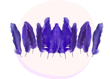purple craft feathers 50 pack